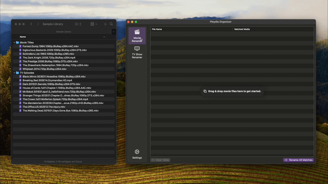 Just drag & drop your files into Pleydia Organizer, and it matches automatically.